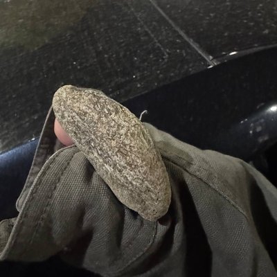 Камень из салона Камри в ЖК Рассказово
