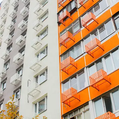 Капитальный ремонт фасадов - Скульптора Мухиной - Городское хозяйство - 2