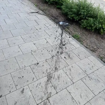 Капитошка в Румянцево парк - упала