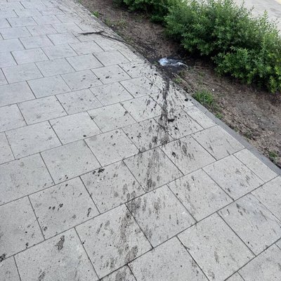 Капитошка в Румянцево парк - упала