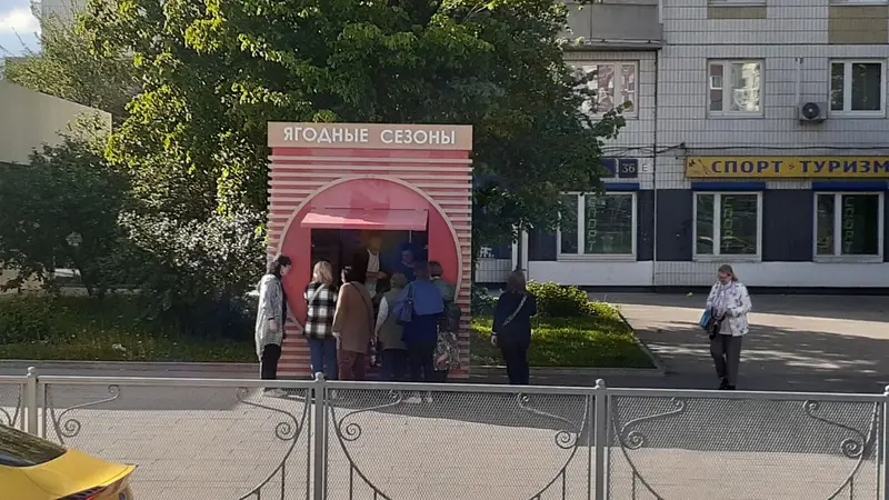 Клубника Ново-Переделкино
