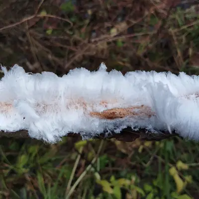 Ледяные волосы в парке Московского