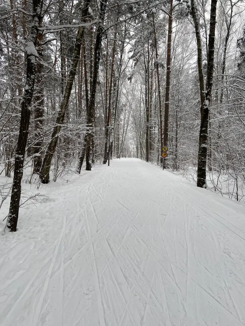 В Мещерском парке стартовал лыжный сезон 25/26