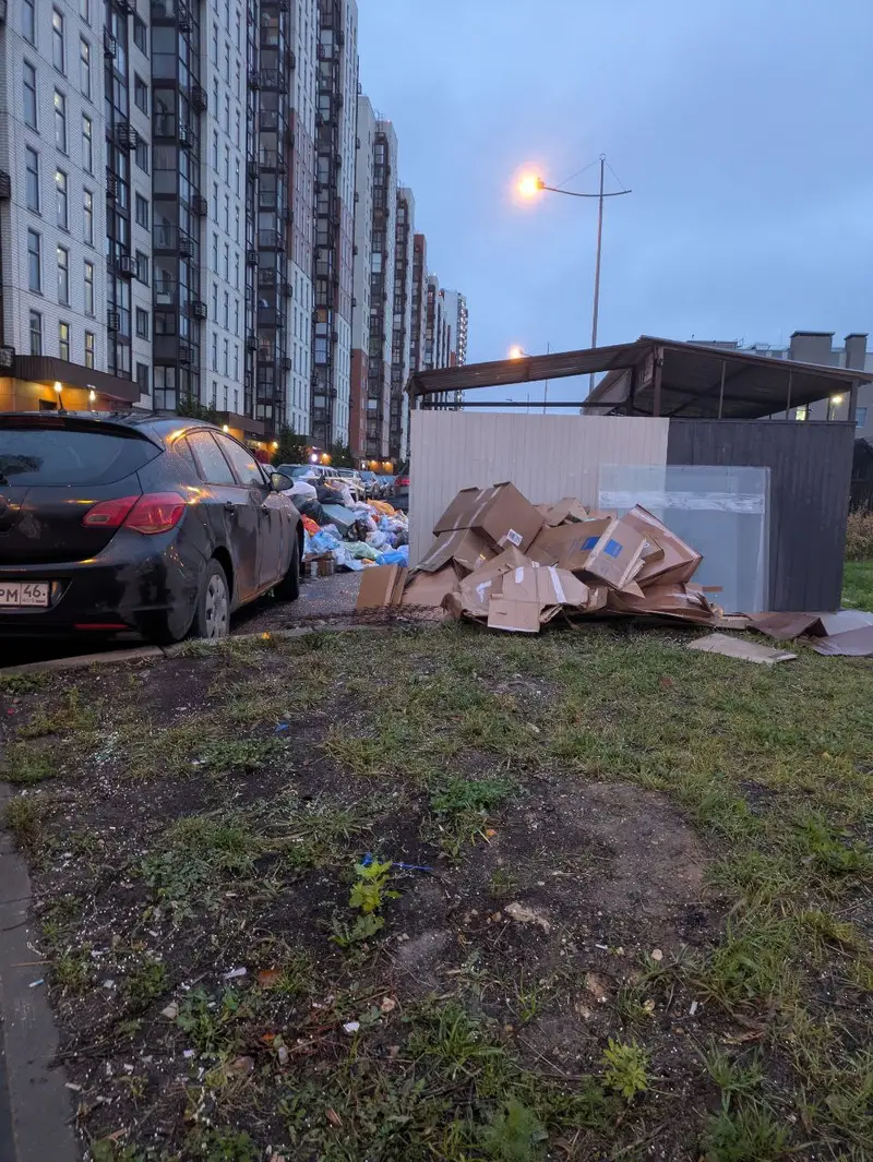 Проблема с уборкой территории в ЖК Позитив