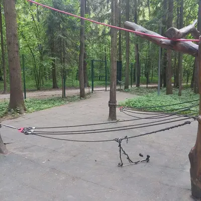 Площадка Палки Елки - 5