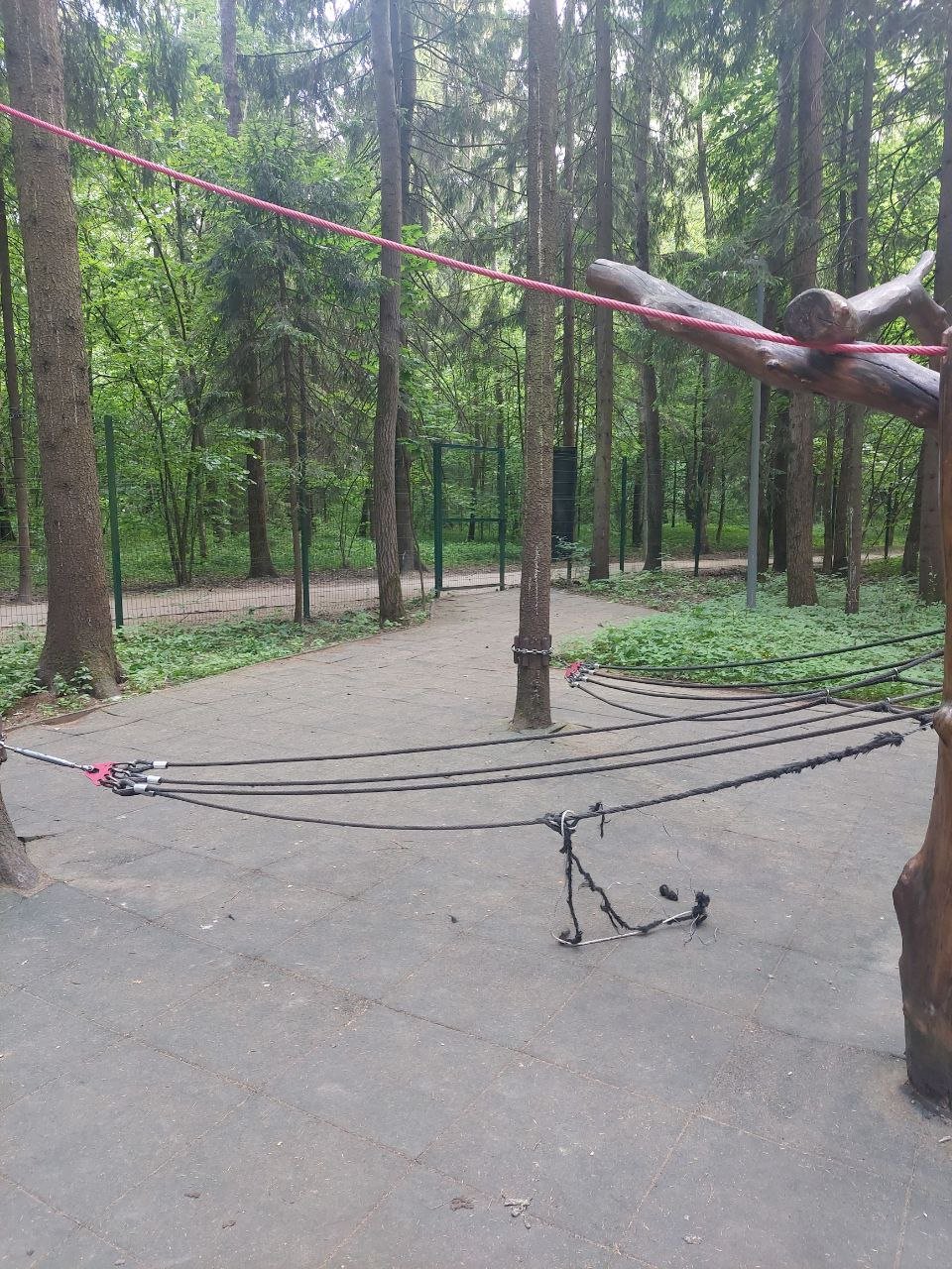 Площадка Палки Елки - 5