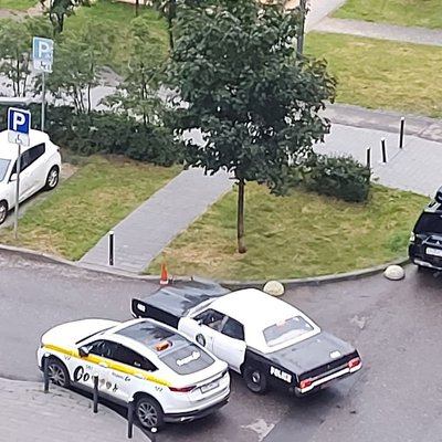 Полицейский Форд ЖК Мещерский лес - 2
