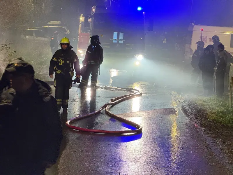 Пожар в Пыхтино 31 октября - пожарные