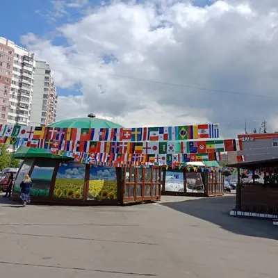 Рынок Ново-Переделкино - ЧМ по футболу и флажки