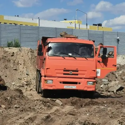 Свалка мусора Родниковая Юлиана Семенова - 5