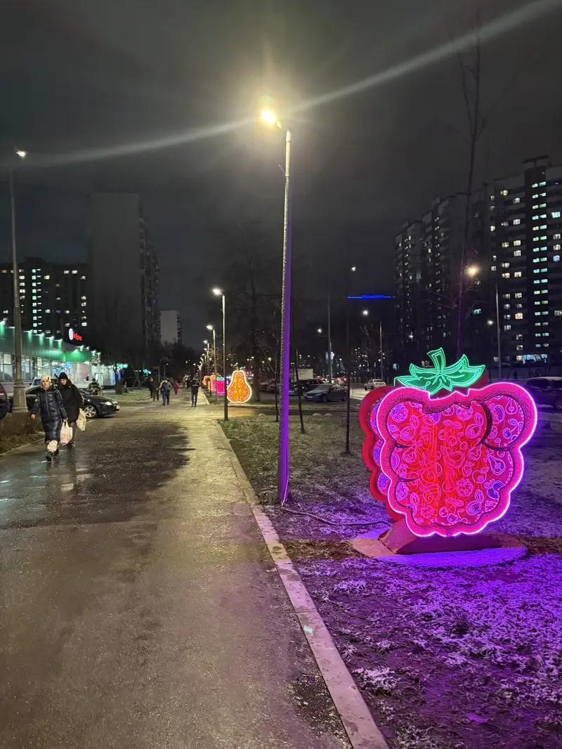 Светящиеся фрукты в Ново-Переделкино - Шолохова - 12 декабря - вечером