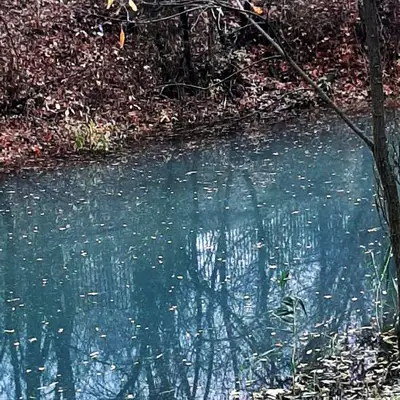 Терешковский пруд - голубая вода