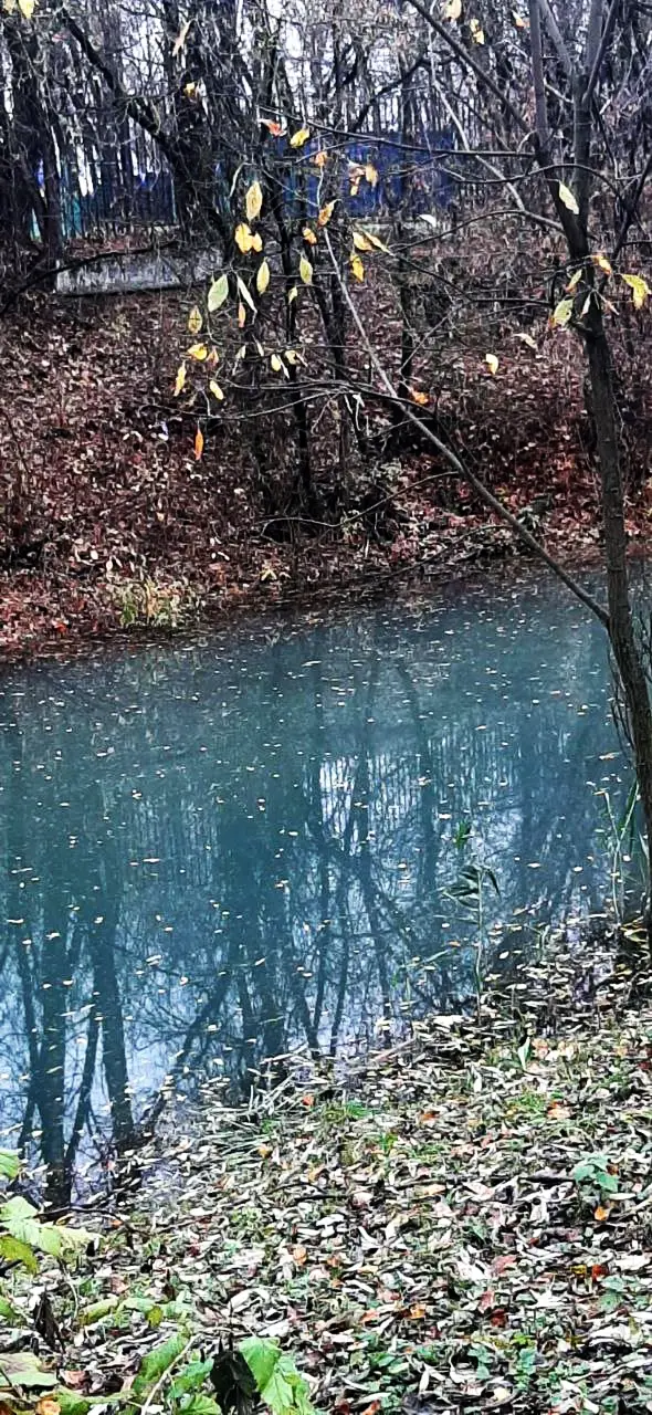 Терешковский пруд - голубая вода