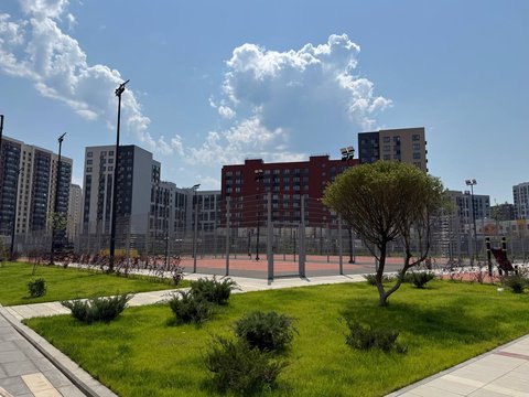Третья школа в ПБ - озеленение