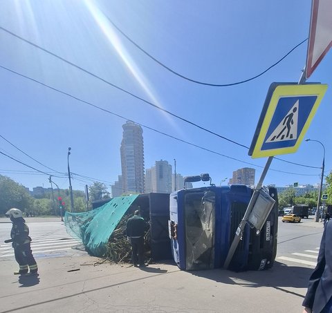 Ветки в грузовике