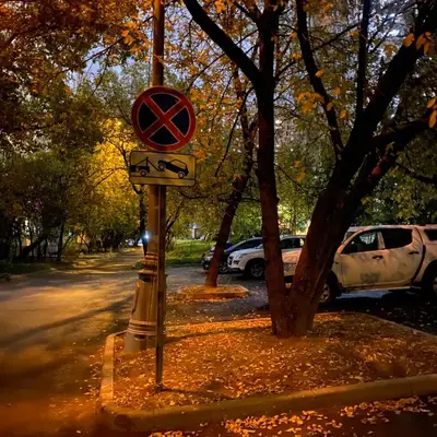 Знаки - остановка запрещена на Производственной 1 в Солнцево