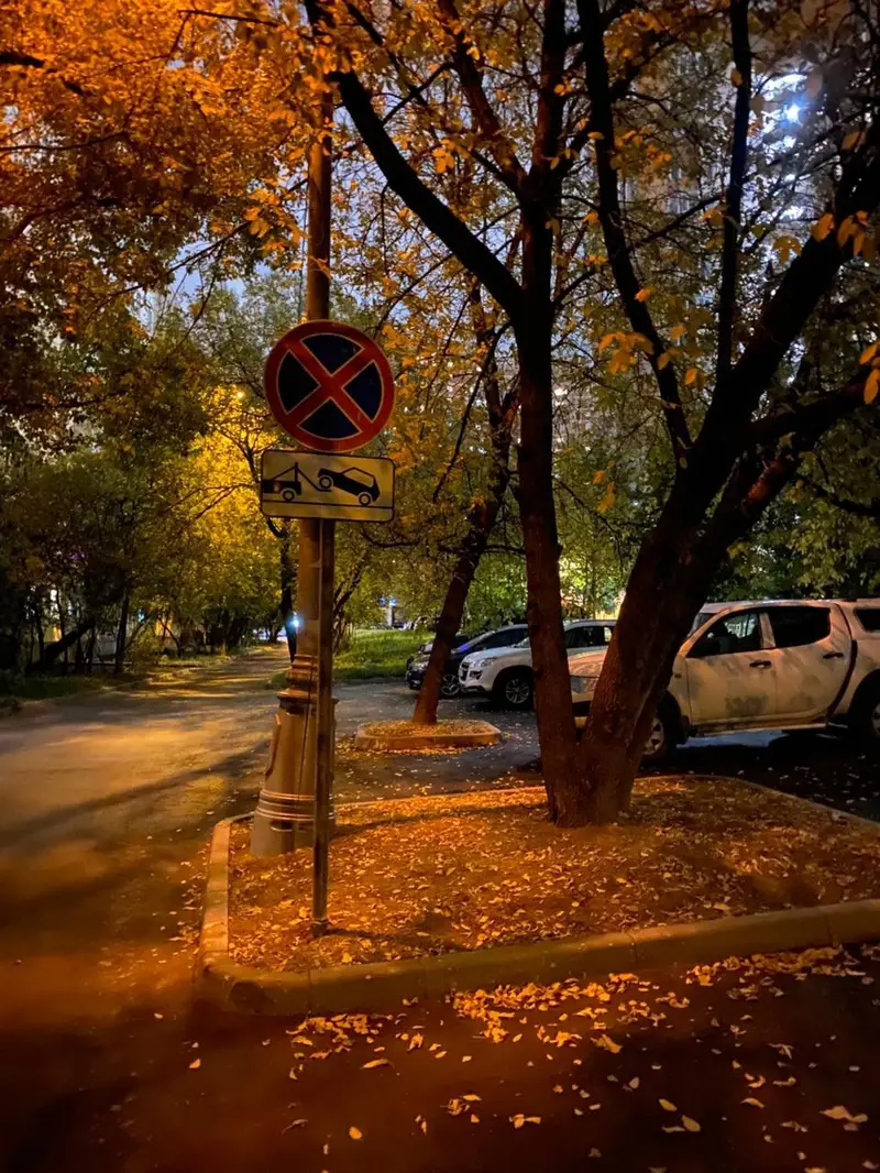 Знаки - остановка запрещена на Производственной 1 в Солнцево