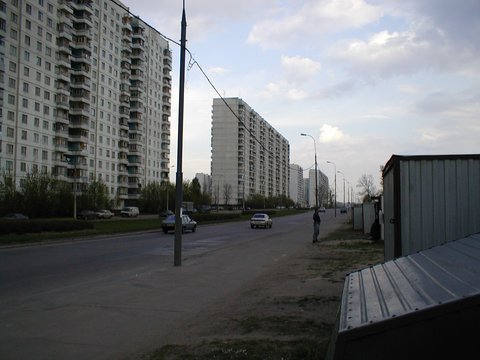 Ракушки в старом Солнцево на Авиаторов