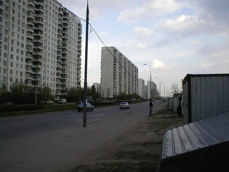 Ракушки в старом Солнцево на Авиаторов
