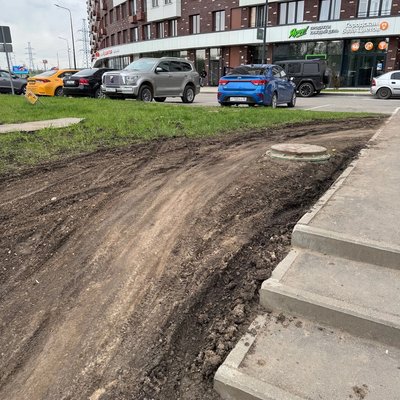 Плохой газон в ЖК Румянцево Парк - 4