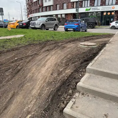 Плохой газон в ЖК Румянцево Парк - 4