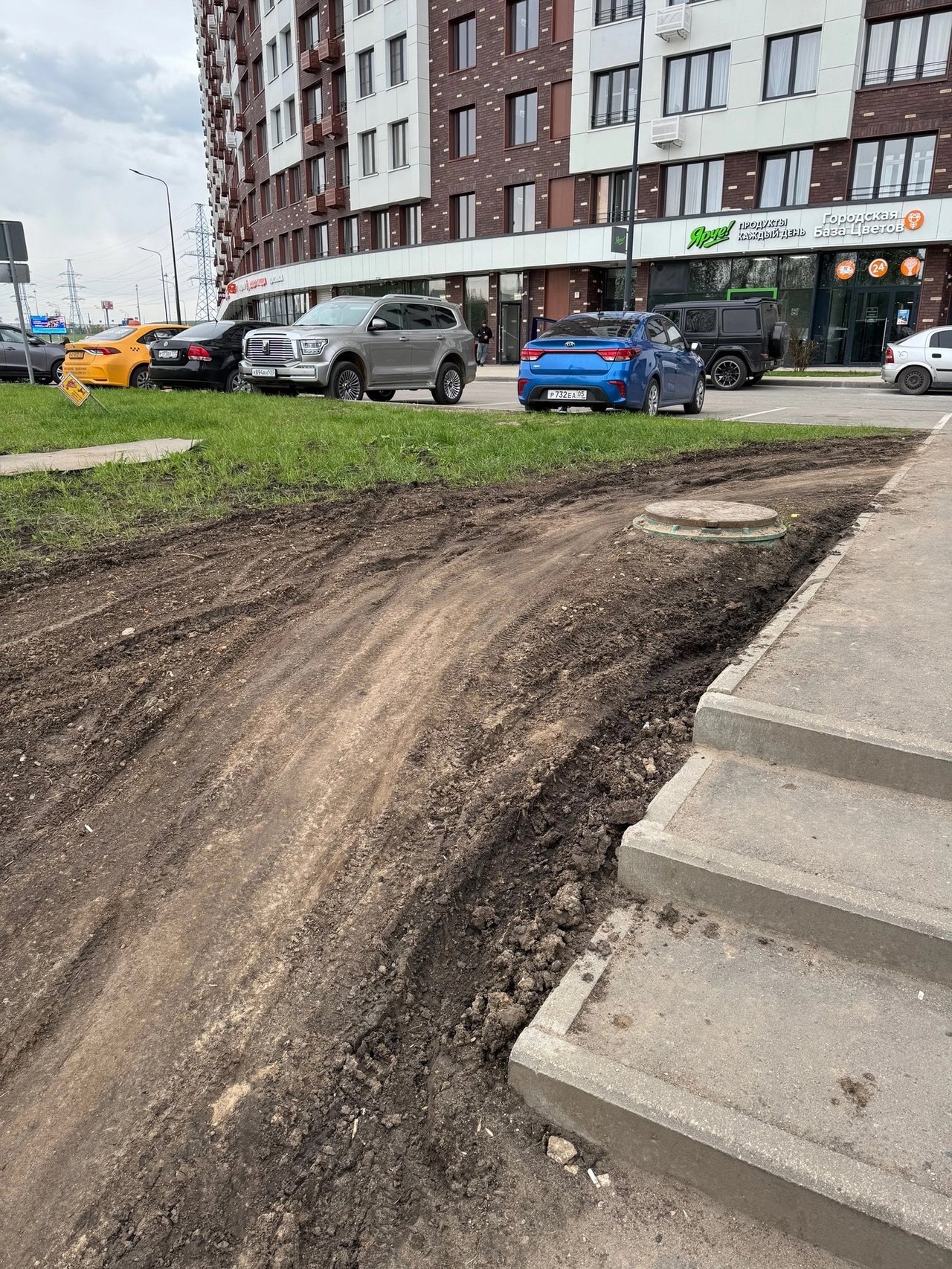 Плохой газон в ЖК Румянцево Парк - 4