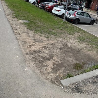 Плохой газон в ЖК Румянцево Парк - 2