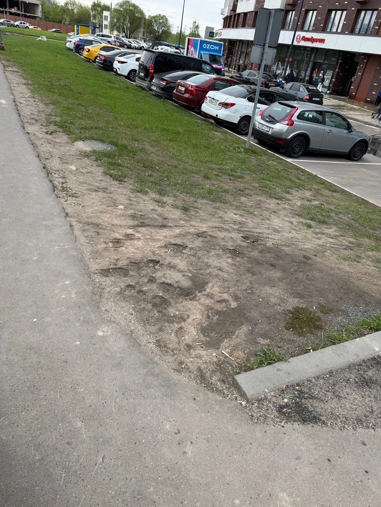 Плохой газон в ЖК Румянцево Парк - 2