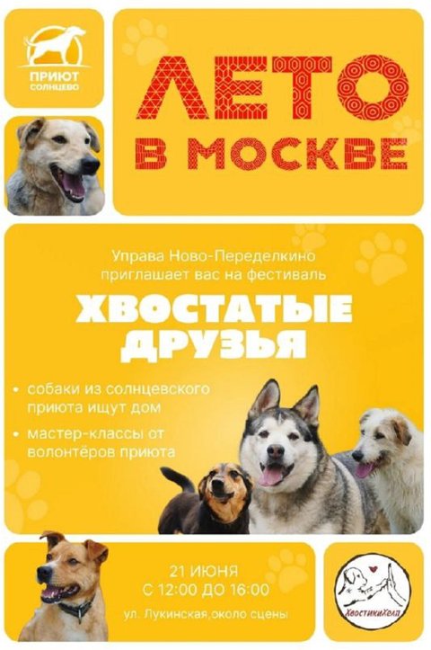 хвостатые друзья в ново-Переделкино