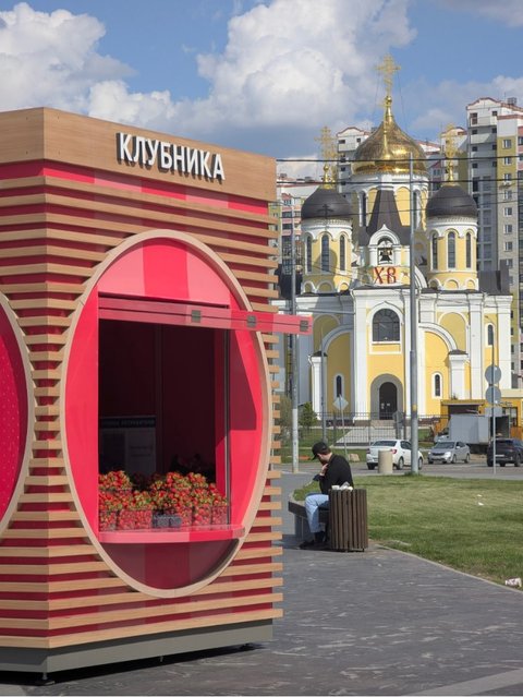 Клубника в Пыхтино