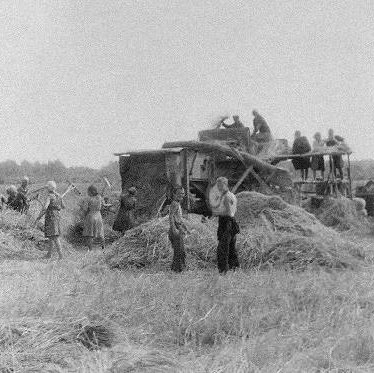 Люди в поле во время войны