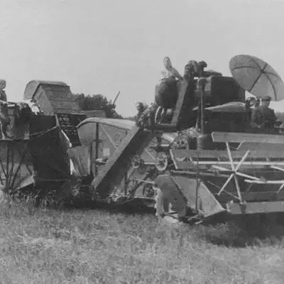 Женщины на работах в поле во время войны