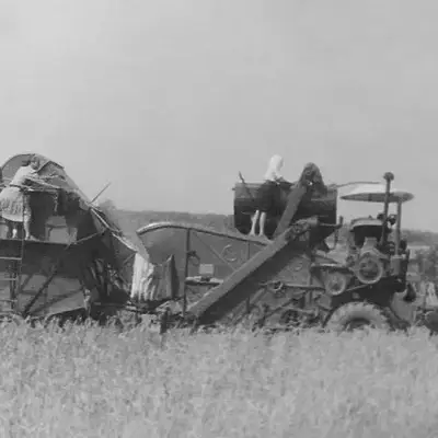 Работы в поле