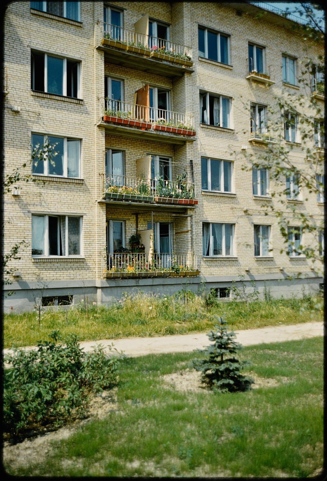 Девятый квартал Новых Черемушек в 1964 году - 1