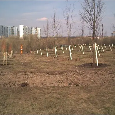 t_apr20020