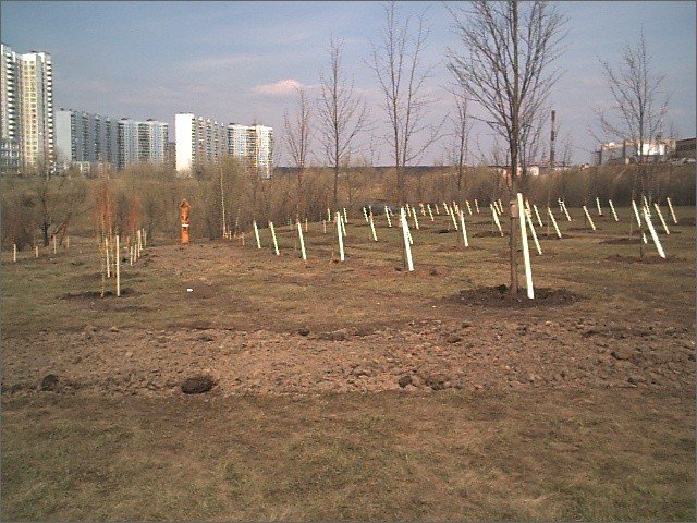 t_apr20020